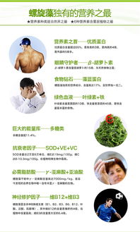 禾博士 纯天然螺旋藻咀嚼片 螺旋藻片增强免疫