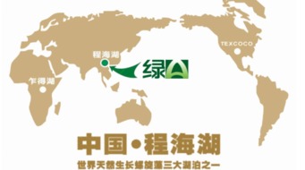 食品安全法一周年 绿a产业链模式成行业标杆