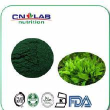 【螺旋藻胶囊片】螺旋藻胶囊片价格_螺旋藻胶囊片批发_螺旋藻胶囊片厂家_螺旋藻胶囊片大全 -