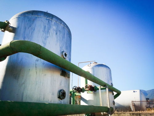 第三届程海水环境保护研讨会召开 绿a增殖放流助力程海湖环保可持续发展行业热点 中国螺旋藻产业从这里起步 云南绿a 官方网站