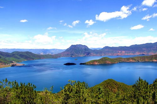 丽江湿地no.1,是哪个