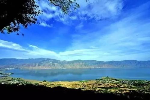 丽江特产 永胜程海螺旋藻