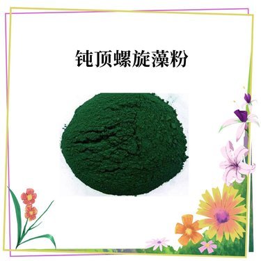钝顶螺旋藻粉