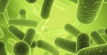 螺旋藻营养素全解析