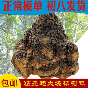 天然螺旋藻 蓝色星球的生命瑰宝